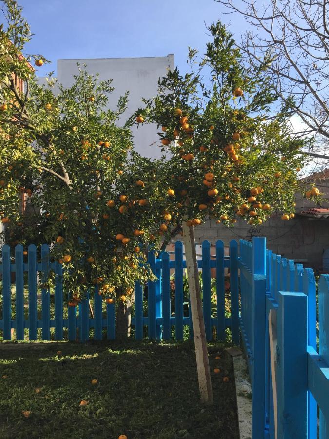 Casa Ondina Ussana - Giardino, Wi-Fi, Aria Condizionata Apartment Екстериор снимка